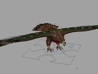Eagle hawk flying in sky 3D model