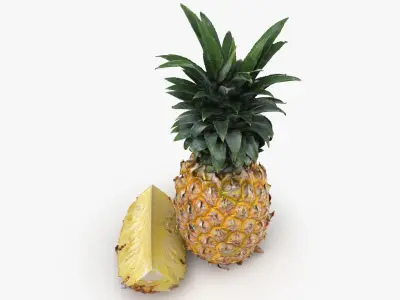 Pineapple Fruit 3D model