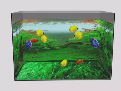 aquarium with fish in it Low-poly 3D model