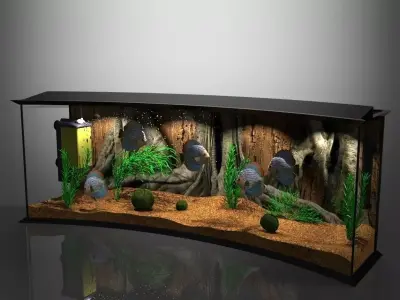 Panoramic Aqua Tank  3D model