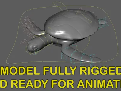  Green Sea Turtle RIgged 