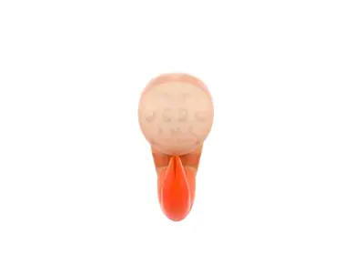 Low Poly Shrimp orange and striped toy Low-poly 3D model