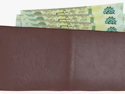 Saudi 50 Riyals Wallet Money Purse 3D model