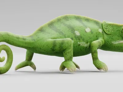 Flap Necked Chameleon Rigged 3D model