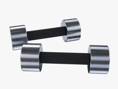 Dumbbell pair 3D model