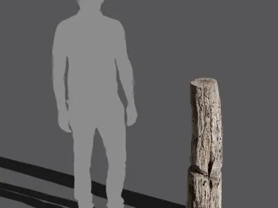  Tall Cut Decaying Flaking Tree Stump 