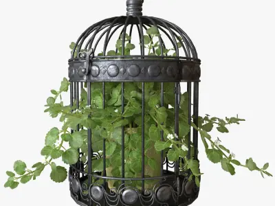 Ivy in a bird cage 3D model