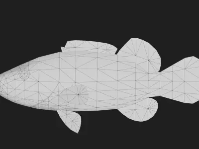 Bass fish Low-poly 3D model 7