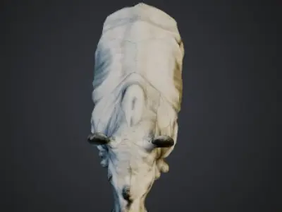 Rhino 3D model get