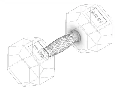 Hexagonal 10kg dumbbell with ergonomic knurled grip  3D model