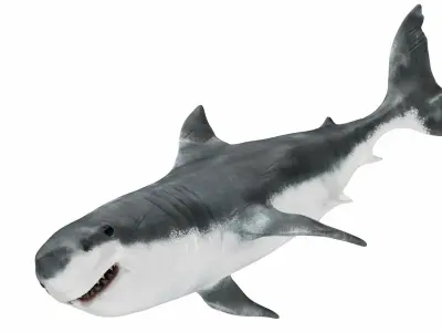  Underwater Animals Big Collection 34 in 1 