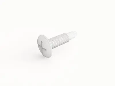 Screw 17 3D model