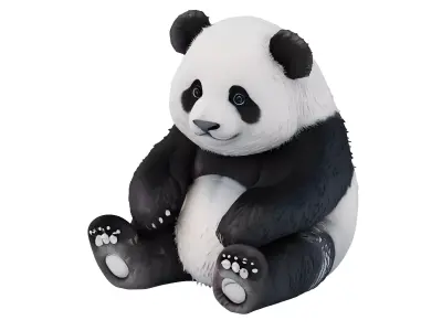 Panda 3D model purchase