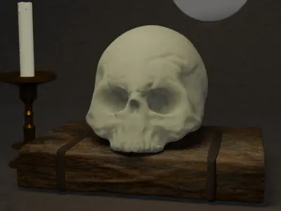 skull and the book Free 3D model