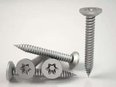 3D Screw Model  Buldeks Vida Clear Model 3D print model