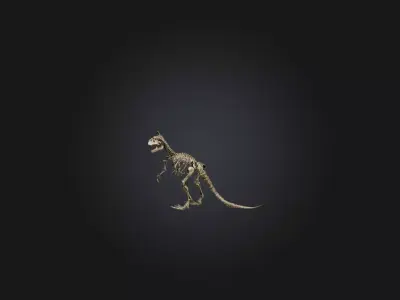 Realistic Tyrannosaurus Rex Skeleton Model Low-poly 3D model