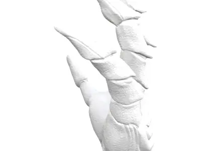 Predator falconer hand 3D model