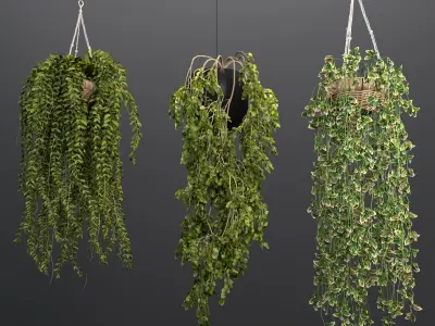  Rattan Pendant lights with hanged Plants 