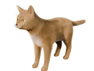 Rigged Cat Low-poly 3D model