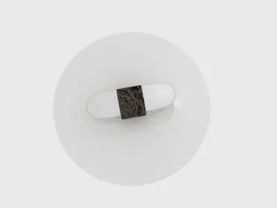 Sushi Plate Low-poly 3D model