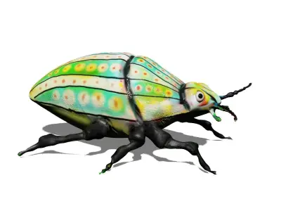 colorful beetle Low-poly 3D model