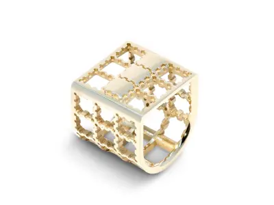 Fishing Cage Ring Free 3D print model