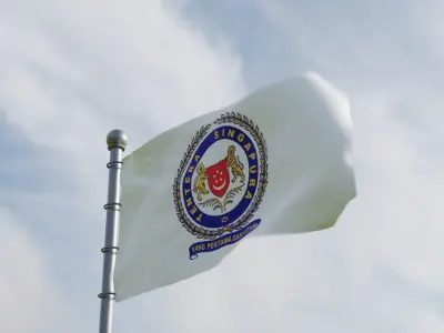 Animated Singapore Flags 3D model