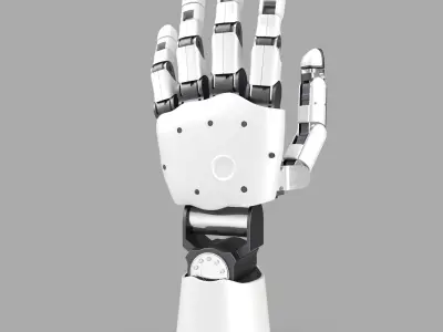 Modular Prosthetic Limb 3D model