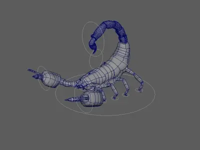 Scorpion model 3D model