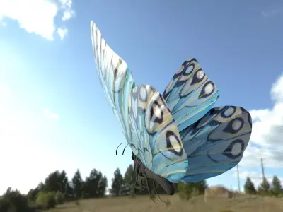BUTTERFLY Low-poly 3D model order