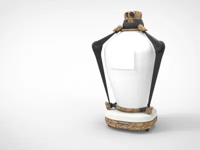 TeleCam robots for advisory and security  3D model