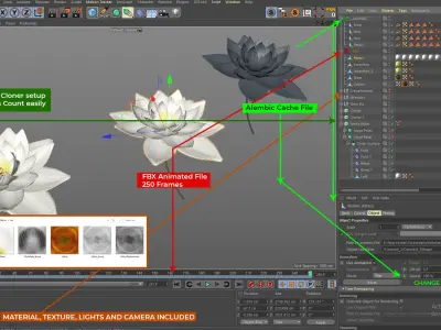 White Lotus- Water Lily 3d Animated 3D model
