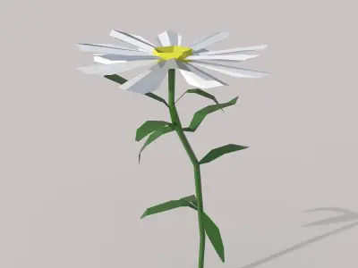 Flower Free low-poly 3D model