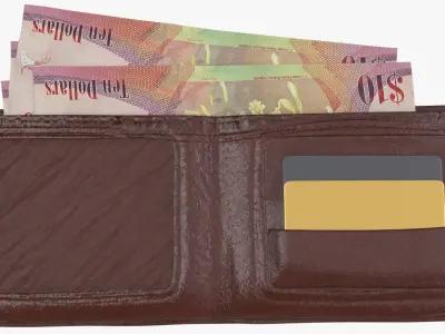 Cayman Islands British 10 Dollar Wallet Money Purse 3D model