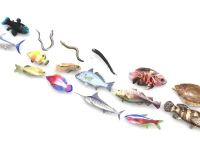 Fishes Set 3D model get