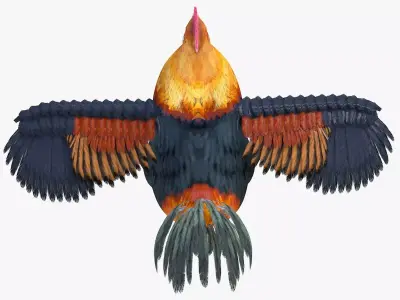 Rooster bird rigged 3d model Low-poly 3D model