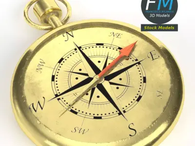 Compass navigation 3D model