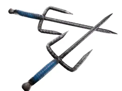 Rebar sai Low-poly 3D model