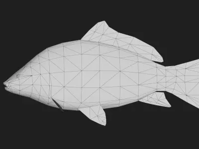 MirrorCarp Low-poly 3D model purchase
