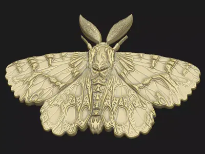 Moth dark-aesthetic macabre wall-art coin-design medallion 3D print model