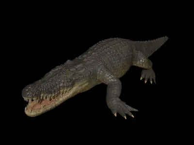 High-Quality Crocodile 3D Model Low Poly  4K PBR Maps Low-poly 3D model