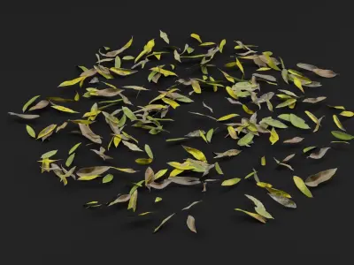 Dead Leaves  3D model