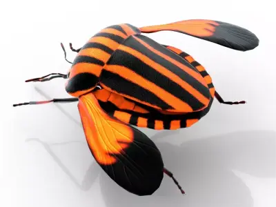 Minstrel bug Free low-poly 3D model