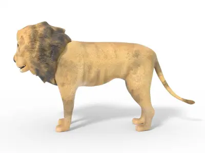 3D Lion Model Low-poly 3D model