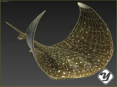 Stingray Low-poly 3D model get