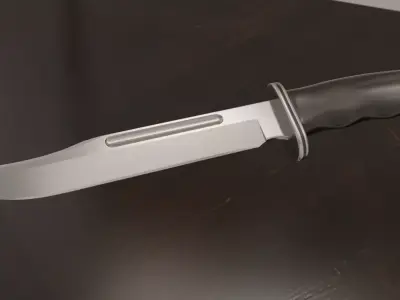 Buck 120 hunt knife model 3D model