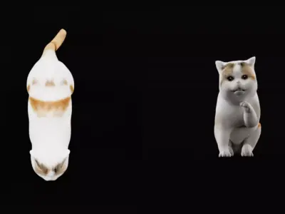 Exotic ShortHair Cat Free 3D model
