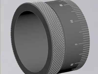 scale ring 3D model