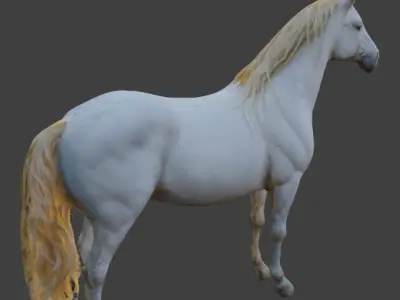  white horse 3D model
