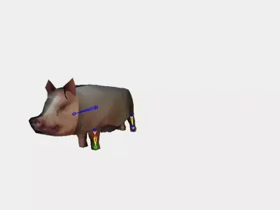 Pig from the farm 3D model